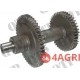Transmission Gear
