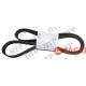 Fan Belt