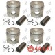 Piston Kit
