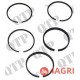 Piston Ring Kit