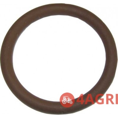 O Ring - Transmission Input Shaft