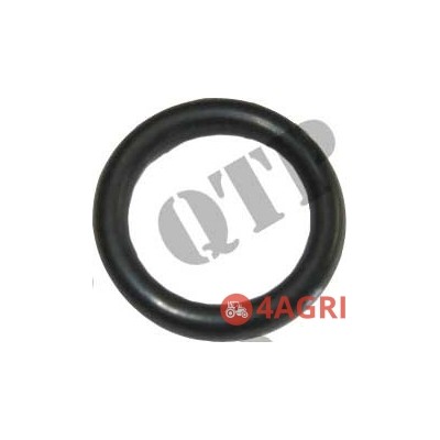 O Ring Plunger