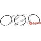 Piston Ring Kit
