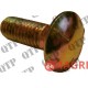 Radiator Fixing Bolt & Nut