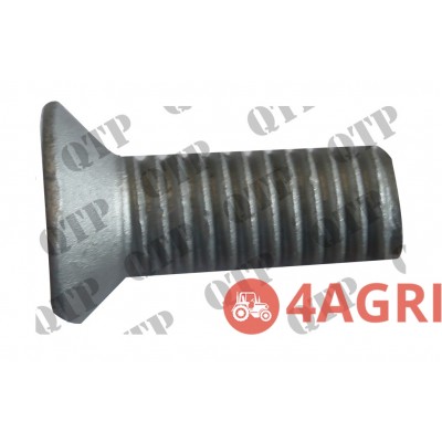 Head Screw Rear Window
