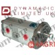 Hydraulic Pump