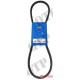 Fan Belt