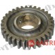 Gear