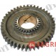 Gear