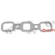 Exhaust Manifold Gasket