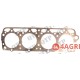 Head Gasket