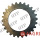 Clutch Plate