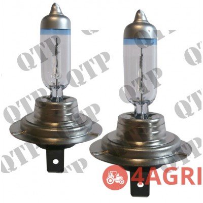 Bulb