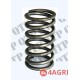 Valve Spring