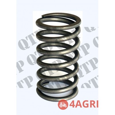 Valve Spring