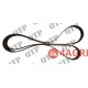 Fan Belt