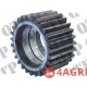 Planetary Gear