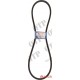 Fan Belt