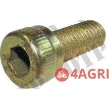 Hydraulic Pump Adaptor Screw