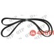 Fan Belt
