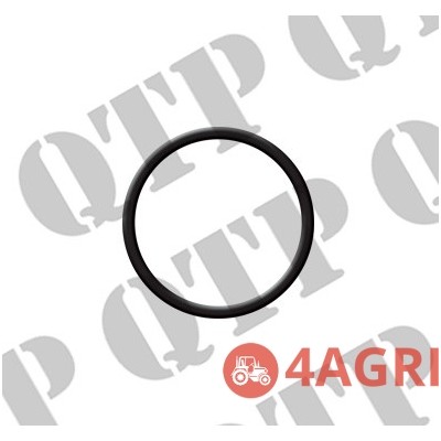O Ring Flange