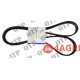 Fan Belt