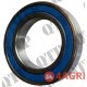 Drive Shaft Bearing