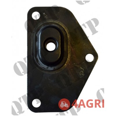 Brake Cover Plate RH