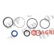 Power Steering Ram Seal Kit