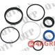 Power Steering Ram Seal Kit