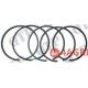 Piston Ring Kit
