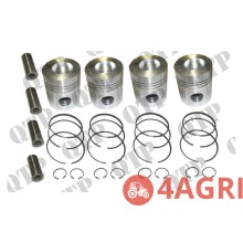 Piston Kit