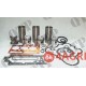 Engine Overhaul Kit