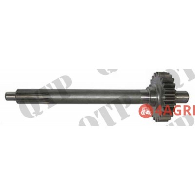 Input Shaft Input Shaft