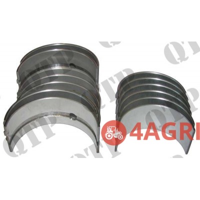 Engine Bearings