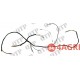 Wiring Loom