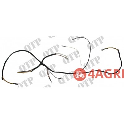 Wiring Loom
