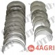 Engine Bearings