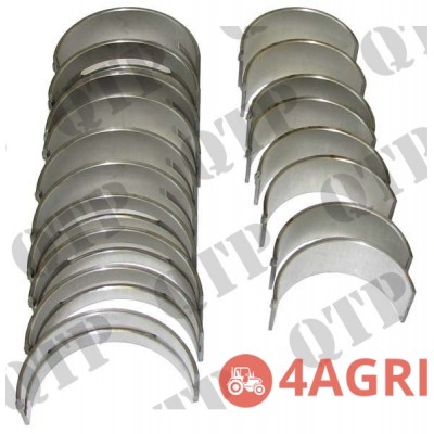 Engine Bearings