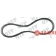 Fan Belt