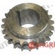 Crankshaft Gear