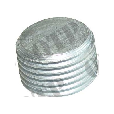 Water Pump Plug
