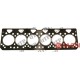 Head Gasket