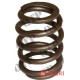 Valve Spring
