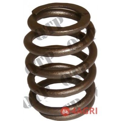Valve Spring