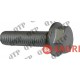 Damper Retaining Screw