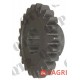 Gear