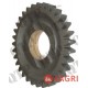 Gear