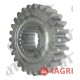 Gear