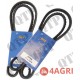Fan Belt